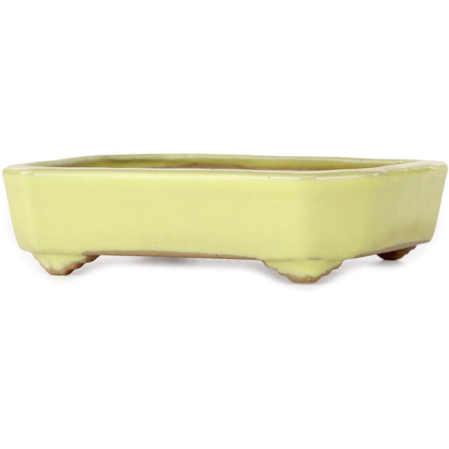 Rectangular yellow bonsai pot by Yamafusa - 133 x 110 x 35 mm