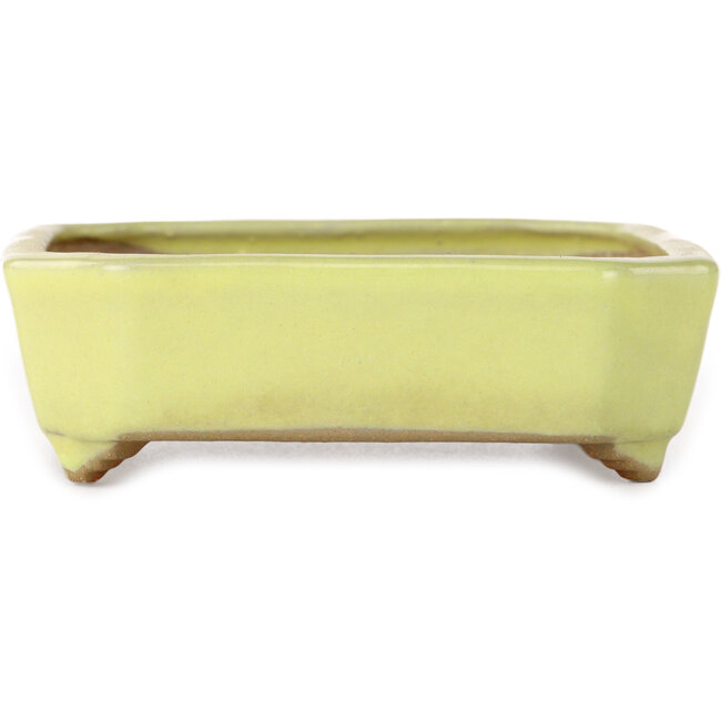 Vaso bonsai rettangolare giallo di Yamafusa - 133 x 110 x 35 mm