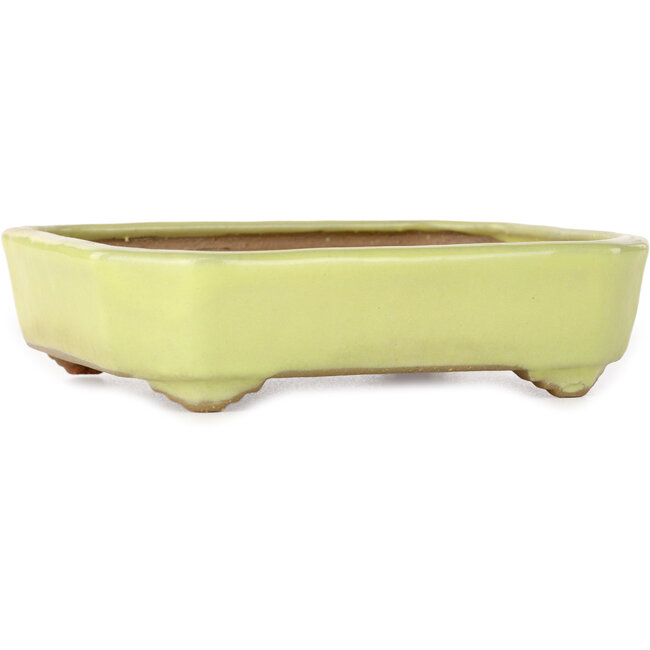 Vaso bonsai rettangolare giallo di Yamafusa - 133 x 110 x 35 mm