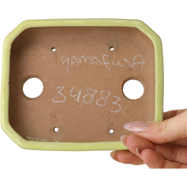 Vaso bonsai rettangolare giallo di Yamafusa - 133 x 110 x 35 mm