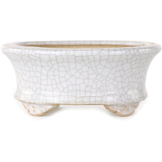 Eime Yozan Pot à bonsaï ovale craquelé blanc 92 mm par Eime Yozan, Tokoname, Japon