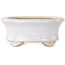 Maceta ovalada para bonsái craquelé blanca de Eime Yozan - 92 x 79 x 40 mm