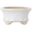 Oval white craquelé bonsai pot by Eime Yozan - 92 x 79 x 40 mm