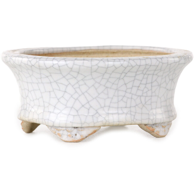Maceta ovalada para bonsái craquelé blanca de Eime Yozan - 92 x 79 x 40 mm