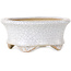 Maceta ovalada para bonsái craquelé blanca de Eime Yozan - 92 x 79 x 40 mm