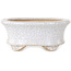 Maceta ovalada para bonsái craquelé blanca de Eime Yozan - 92 x 79 x 40 mm