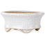 Ovale witte craquelé bonsaipot van Eime Yozan - 92 x 79 x 40 mm