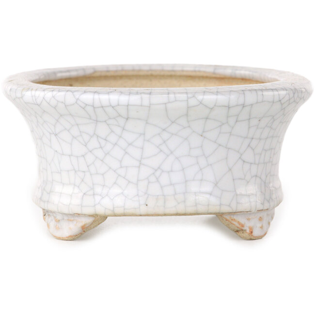 Oval white craquelé bonsai pot by Eime Yozan - 92 x 79 x 40 mm