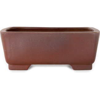  Shibakatsu (Katsuichi Shibata) Pot à bonsaï rectangulaire non émaillé de 160 mm par Shibakatsu, Tokoname, Japon