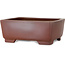Pot à bonsaï rectangulaire non émaillé de Shibakatsu - 160 x 126 x 60 mm
