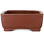 Maceta rectangular sin esmaltar para bonsái de Shibakatsu - 160 x 122 x 48 mm