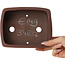 Pot à bonsaï rectangulaire non émaillé de Shibakatsu - 160 x 126 x 60 mm