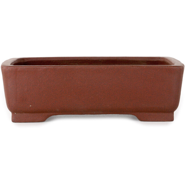 Vaso bonsai rettangolare non smaltato di Shibakatsu - 160 x 122 x 48 mm