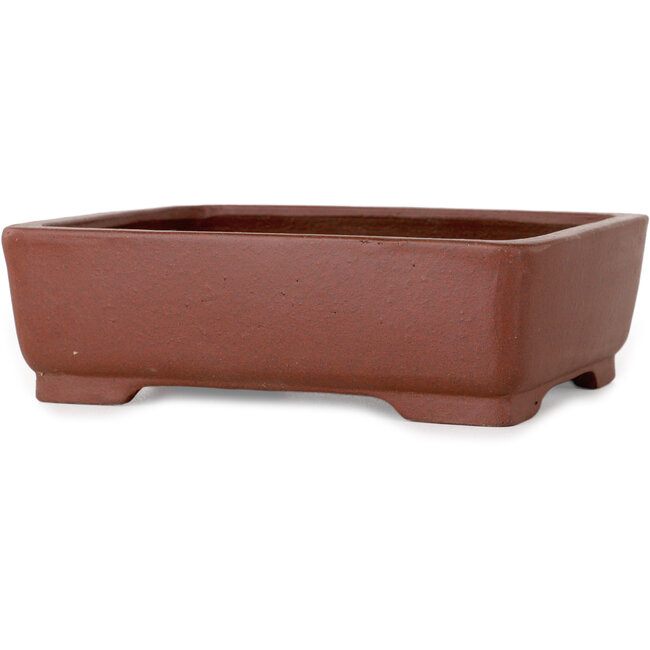 Maceta rectangular sin esmaltar para bonsái de Shibakatsu - 160 x 122 x 48 mm