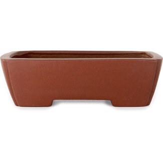  Shibakatsu (Katsuichi Shibata) 160 mm rectangular unglazed bonsai pot by Shibakatsu, Tokoname, Japan