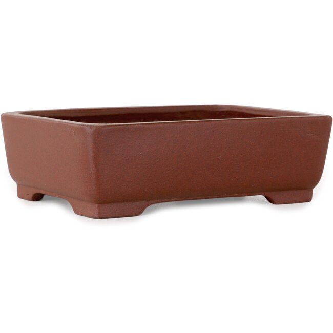 Pot à bonsaï rectangulaire non émaillé de Shibakatsu - 160 x 122 x 48 mm