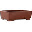Vaso bonsai rettangolare non smaltato di Shibakatsu - 160 x 122 x 48 mm