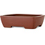 Maceta rectangular sin esmaltar para bonsái de Shibakatsu - 160 x 130 x 45 mm