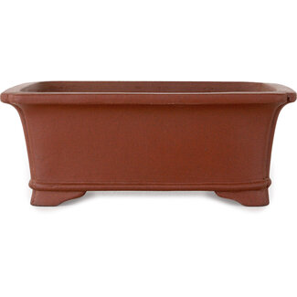  Shibakatsu (Katsuichi Shibata) Vaso bonsai rettangolare non smaltato da 186 mm di Shibakatsu, Tokoname, Giappone