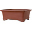 Pot à bonsaï rectangulaire non émaillé de Shibakatsu - 186 x 152 x 72 mm