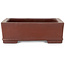 Rectangular unglazed bonsai pot by Shibakatsu - 143 x 116 x 38 mm