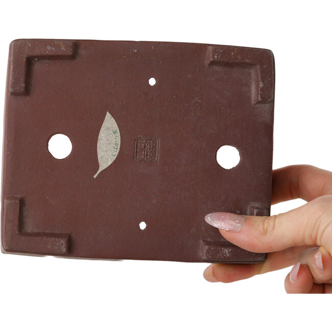 Rechthoekige, ongeglazuurde bonsaipot van Shibakatsu - 143 x 116 x 38 mm