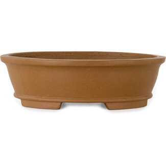  Shibakatsu (Katsuichi Shibata) Vaso bonsai ovale non smaltato da 183 mm di Shibakatsu, Tokoname, Giappone