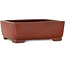 Vaso bonsai rettangolare non smaltato di Shibakatsu - 124 x 100 x 42 mm