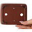 Pot à bonsaï rectangulaire non émaillé de Shibakatsu - 124 x 100 x 42 mm