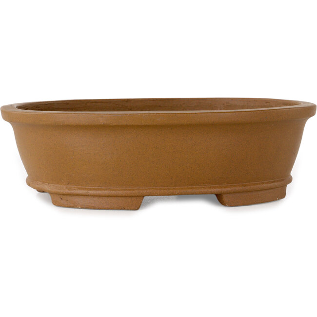 Maceta ovalada sin esmaltar para bonsái de Shibakatsu - 183 x 155 x 53 mm