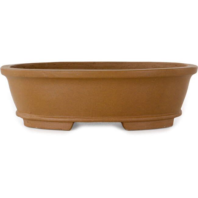 Maceta ovalada sin esmaltar para bonsái de Shibakatsu - 183 x 155 x 53 mm