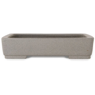  Shibakatsu (Katsuichi Shibata) Vaso bonsai rettangolare bianco sporco da 208 mm di Shibakatsu, Tokoname, Giappone