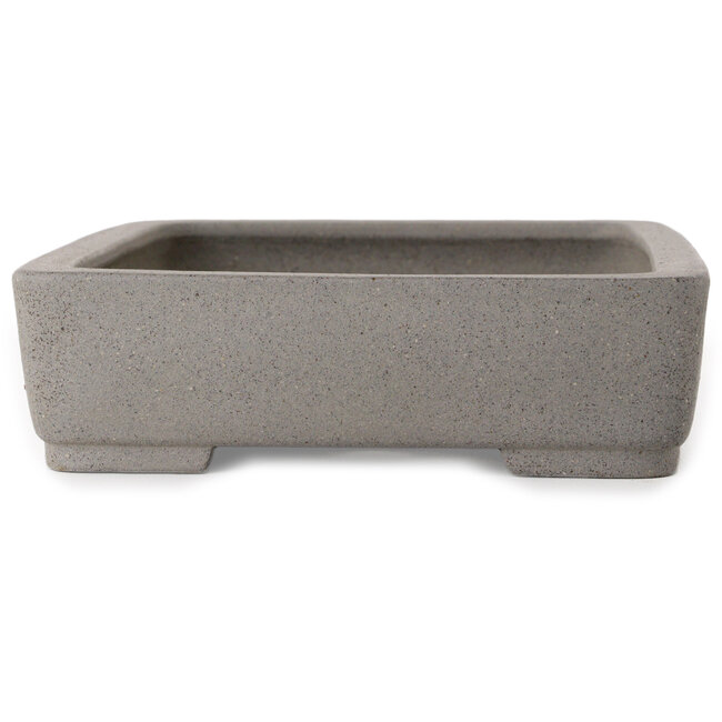 Maceta rectangular para bonsái de color blanco roto de Shibakatsu - 208 x 163 x 45 mm