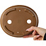 Pot à bonsaï ovale non émaillé de Shibakatsu - 183 x 155 x 53 mm