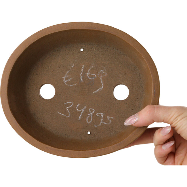 Maceta ovalada sin esmaltar para bonsái de Shibakatsu - 183 x 155 x 53 mm