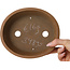 Pot à bonsaï ovale non émaillé de Shibakatsu - 183 x 155 x 53 mm