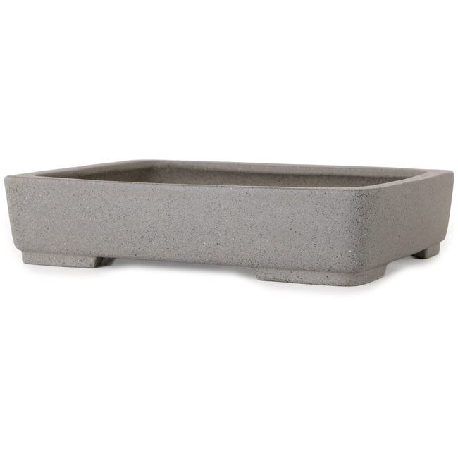 Maceta rectangular para bonsái de color blanco roto de Shibakatsu - 208 x 163 x 45 mm
