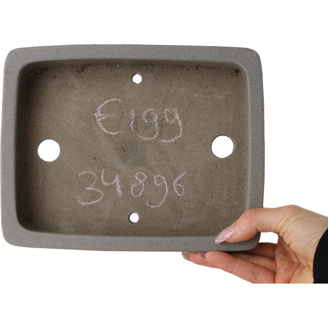 Pot à bonsaï rectangulaire blanc cassé de Shibakatsu - 208 x 163 x 45 mm