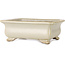 Rectangular off-white bonsai pot by Shibakatsu - 190 x 142 x 70 mm