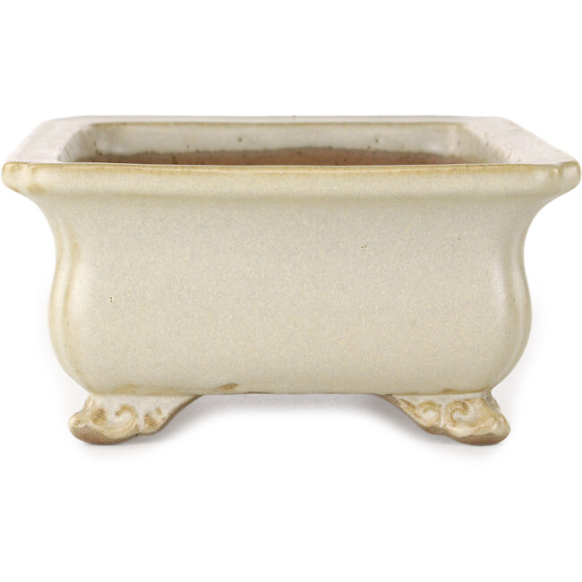 Maceta rectangular para bonsái de color blanco roto de Shibakatsu - 190 x 142 x 70 mm