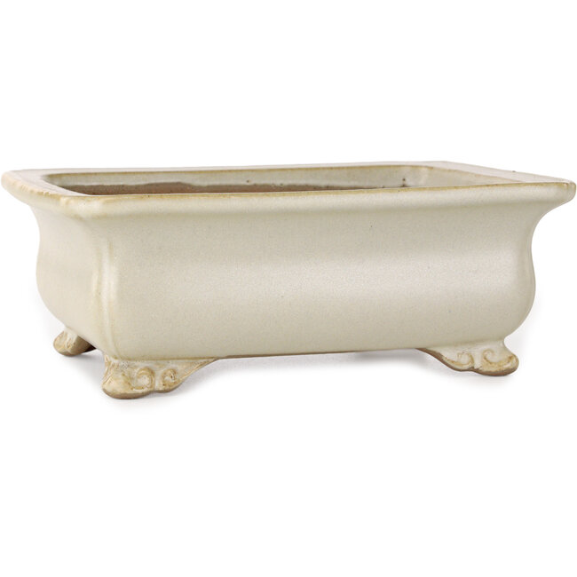 Maceta rectangular para bonsái de color blanco roto de Shibakatsu - 190 x 142 x 70 mm