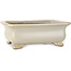 Rectangular off-white bonsai pot by Shibakatsu - 190 x 142 x 70 mm