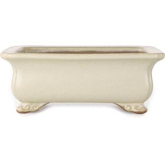  Shibakatsu (Katsuichi Shibata) 190 mm rectangular off-white bonsai pot by Shibakatsu, Tokoname, Japan