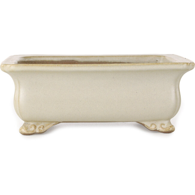 Pot à bonsaï rectangulaire blanc cassé de Shibakatsu - 190 x 142 x 70 mm