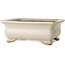 Rechthoekige, gebroken witte bonsaipot van Shibakatsu - 190 x 142 x 70 mm
