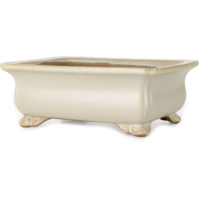 Maceta rectangular para bonsái de color blanco roto de Shibakatsu - 190 x 142 x 70 mm