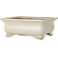 Rechthoekige, gebroken witte bonsaipot van Shibakatsu - 190 x 142 x 70 mm