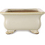 Pot à bonsaï rectangulaire blanc cassé de Shibakatsu - 190 x 142 x 70 mm