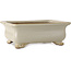Pot à bonsaï rectangulaire blanc cassé de Shibakatsu - 190 x 142 x 70 mm