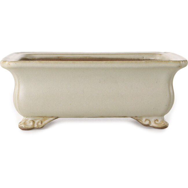 Rectangular off-white bonsai pot by Shibakatsu - 190 x 142 x 70 mm